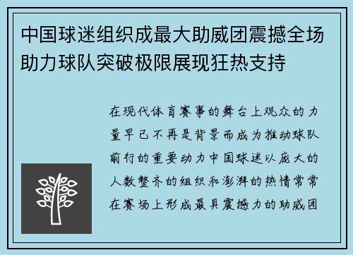 中国球迷组织成最大助威团震撼全场助力球队突破极限展现狂热支持