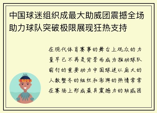中国球迷组织成最大助威团震撼全场助力球队突破极限展现狂热支持