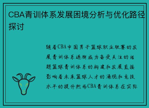 CBA青训体系发展困境分析与优化路径探讨